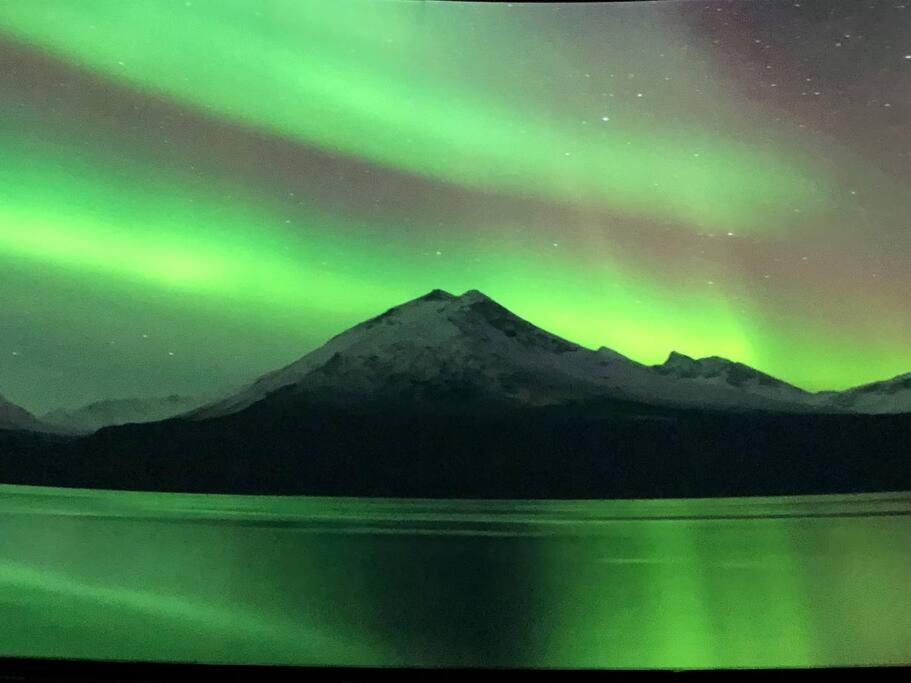 Northern Light Tromsø Dış mekan fotoğraf